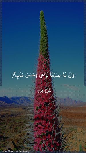 Saad Ayah 40 - Arabic wallpaper