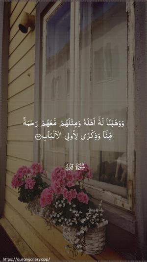 Saad Ayah 43 - Arabic wallpaper