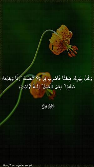 Saad Ayah 44 - Arabic wallpaper