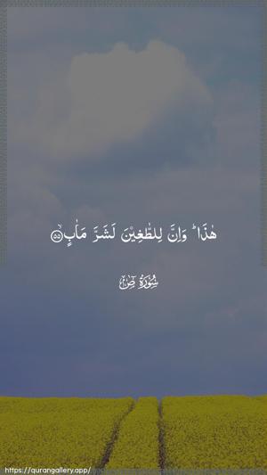 Saad Ayah 55 - Arabic wallpaper