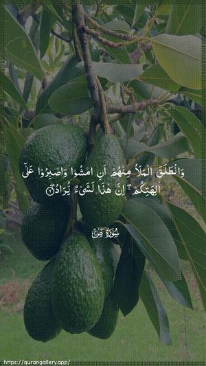 Saad Ayah 6 - Arabic wallpaper