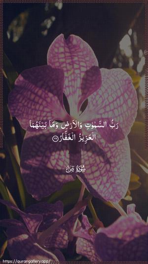 Saad Ayah 66 - Arabic wallpaper