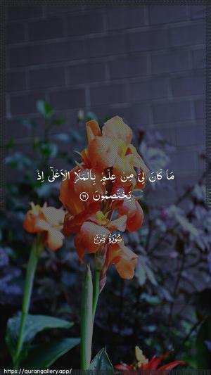 Saad Ayah 69 - Arabic wallpaper