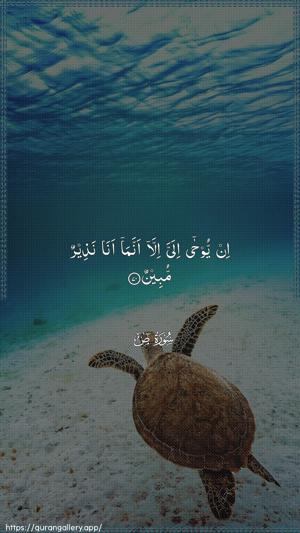 Saad Ayah 70 - Arabic wallpaper