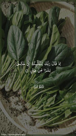 Saad Ayah 71 - Arabic wallpaper