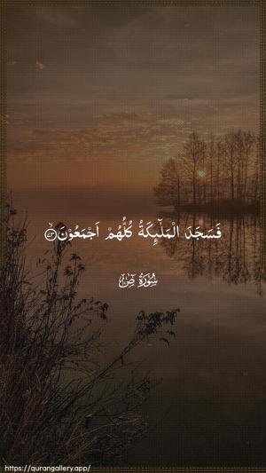 Saad Ayah 73 - Arabic wallpaper