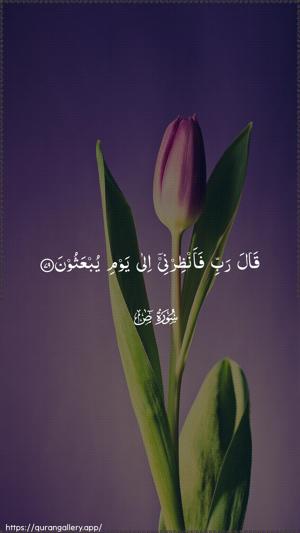 Saad Ayah 79 - Arabic wallpaper