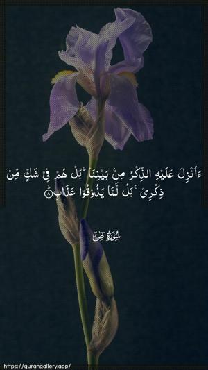 Saad Ayah 8 - Arabic wallpaper