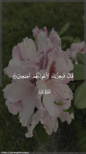 Saad Ayah 82 - Arabic wallpaper