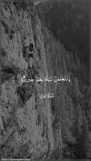 Saad Ayah 88 - Arabic wallpaper