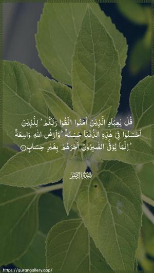Az-Zumar Ayah 10 - Arabic wallpaper