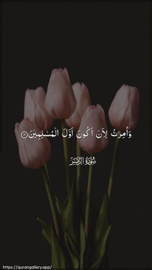 Az-Zumar Ayah 12 - Arabic wallpaper