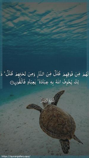 Az-Zumar Ayah 16 - Arabic wallpaper