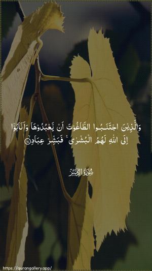 Az-Zumar Ayah 17 - Arabic wallpaper