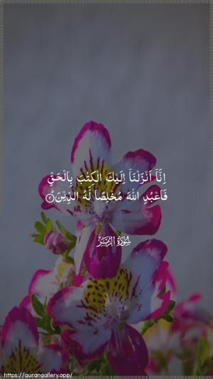 Az-Zumar Ayah 2 - Arabic wallpaper