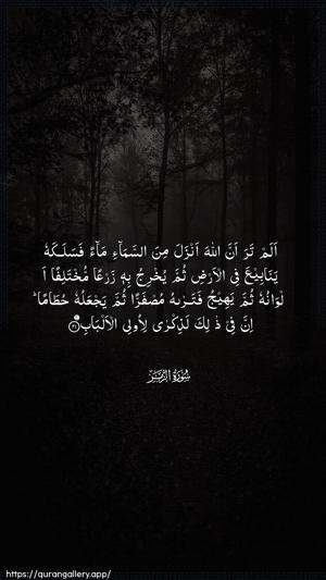 Az-Zumar Ayah 21 - Arabic wallpaper