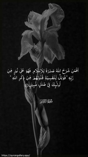Az-Zumar Ayah 22 - Arabic wallpaper