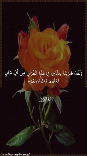 Az-Zumar Ayah 27 - Arabic wallpaper