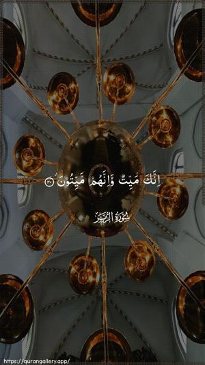 Az-Zumar Ayah 30 - Arabic wallpaper