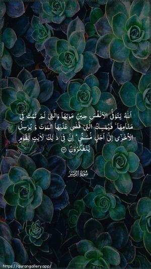 Az-Zumar Ayah 42 - Arabic wallpaper