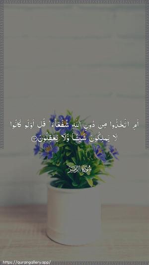 Az-Zumar Ayah 43 - Arabic wallpaper