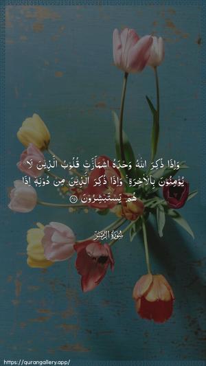 Az-Zumar Ayah 45 - Arabic wallpaper