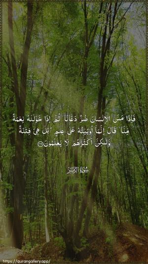 Az-Zumar Ayah 49 - Arabic wallpaper