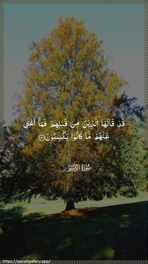 Az-Zumar Ayah 50 - Arabic wallpaper