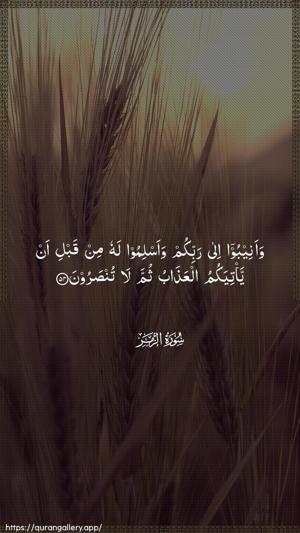 Az-Zumar Ayah 54 - Arabic wallpaper
