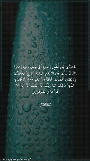 Az-Zumar Ayah 6 - Arabic wallpaper