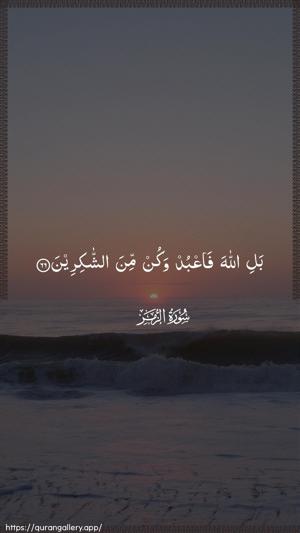 Az-Zumar Ayah 66 - Arabic wallpaper