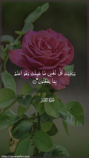 Az-Zumar Ayah 70 - Arabic wallpaper