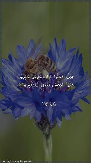 Az-Zumar Ayah 72 - Arabic wallpaper