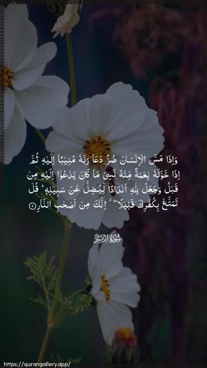 Az-Zumar Ayah 8 - Arabic wallpaper
