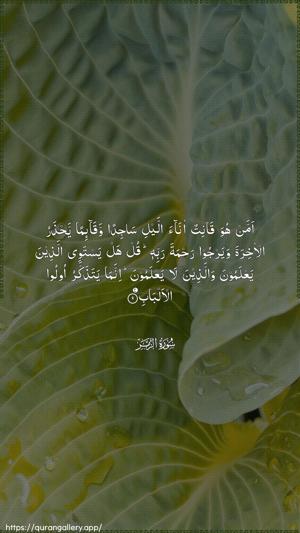 Az-Zumar Ayah 9 - Arabic wallpaper