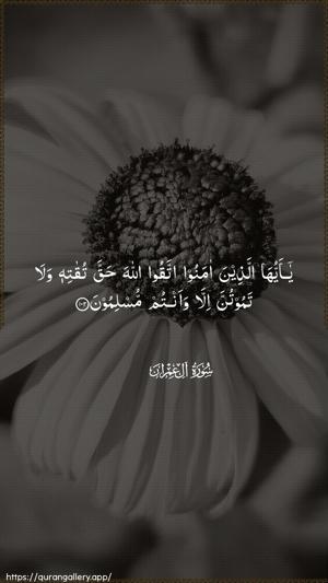 Aal-i-Imraan Ayah 102 - Arabic wallpaper