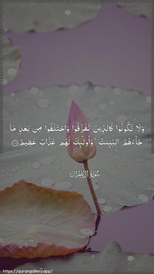 Aal-i-Imraan Ayah 105 - Arabic wallpaper