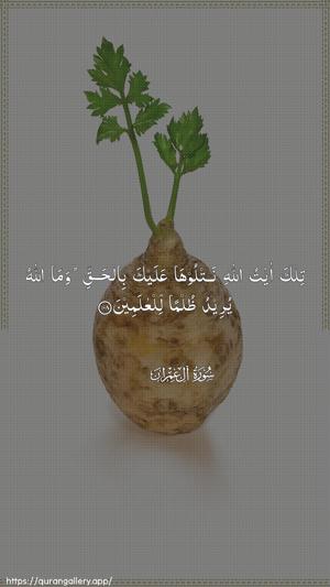 Aal-i-Imraan Ayah 108 - Arabic wallpaper