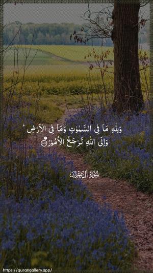 Aal-i-Imraan Ayah 109 - Arabic wallpaper