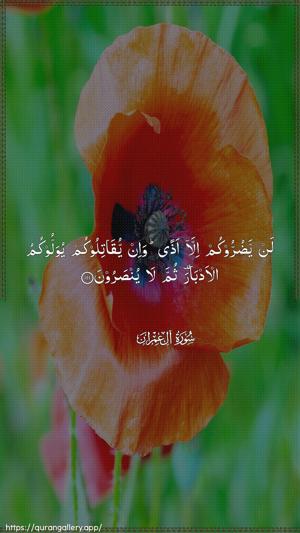 Aal-i-Imraan Ayah 111 - Arabic wallpaper