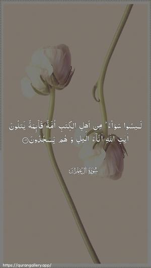 Aal-i-Imraan Ayah 113 - Arabic wallpaper