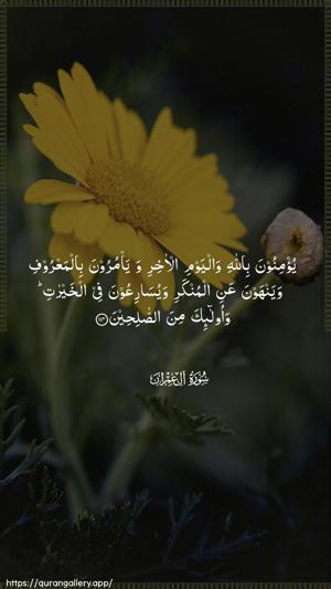 Aal-i-Imraan Ayah 114 - Arabic wallpaper