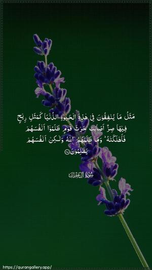 Aal-i-Imraan Ayah 117 - Arabic wallpaper