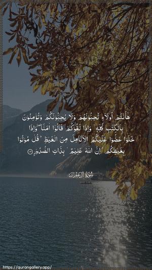 Aal-i-Imraan Ayah 119 - Arabic wallpaper
