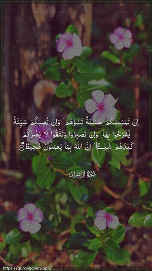 Aal-i-Imraan Ayah 120 - Arabic wallpaper