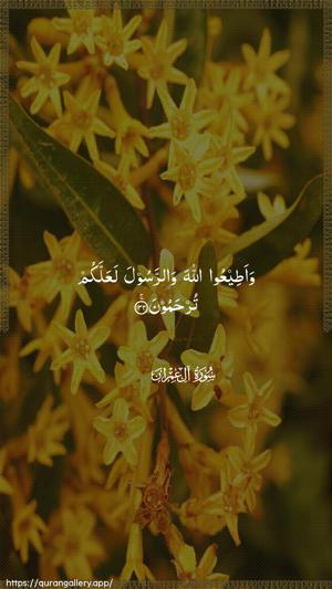 Aal-i-Imraan Ayah 132 - Arabic wallpaper