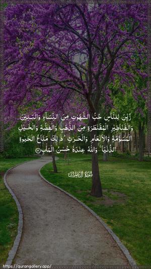 Aal-i-Imraan Ayah 14 - Arabic wallpaper