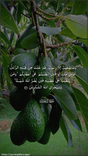 Aal-i-Imraan Ayah 144 - Arabic wallpaper