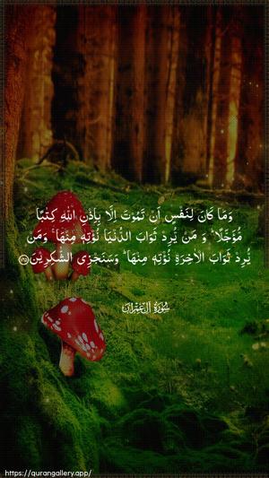Aal-i-Imraan Ayah 145 - Arabic wallpaper