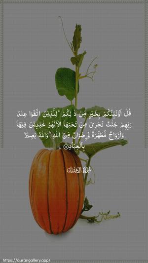 Aal-i-Imraan Ayah 15 - Arabic wallpaper